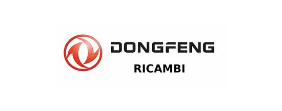 ◉ RICAMBI DONGFENG
