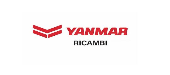 ◉ RICAMBI YANMAR