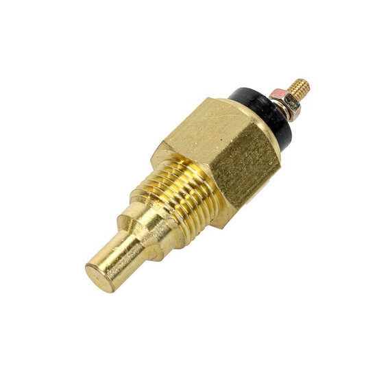 Ricambio sensore di temperatura Iseki TU180, TU315, 3015, SG173, E255, E262, E374, 3AF1, 3AE1, E3100, E3AF1, 3AE1. AG159102055