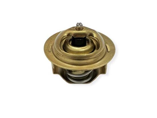 Ricambio termostato acqua Iseki