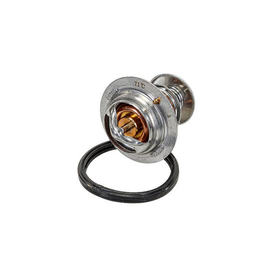 Ricambio termostato acqua Yanmar serie F,FX AG 159103069 