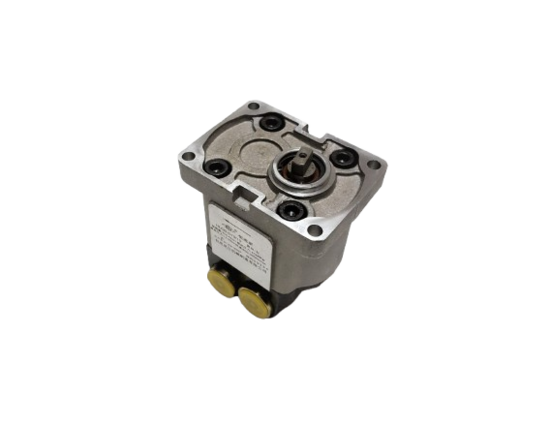 Ricambio pompa servosterzo Dongfeng